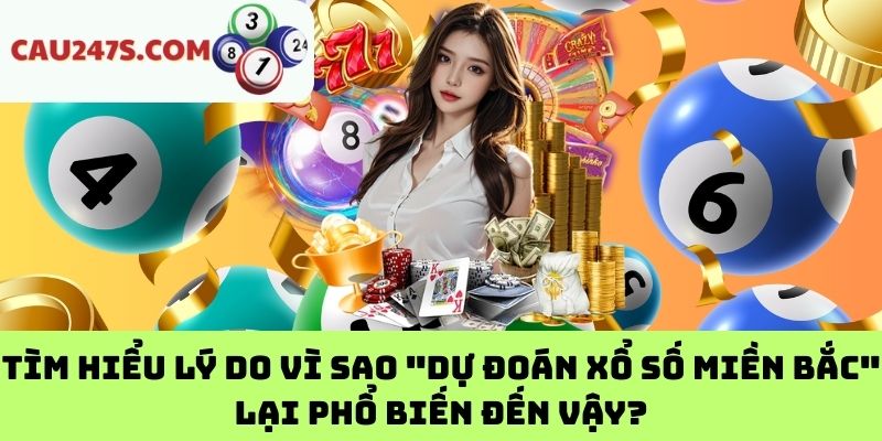 Tìm hiểu lý do vì sao "dự đoán xổ số miền Bắc" lại phổ biến đến vậy?