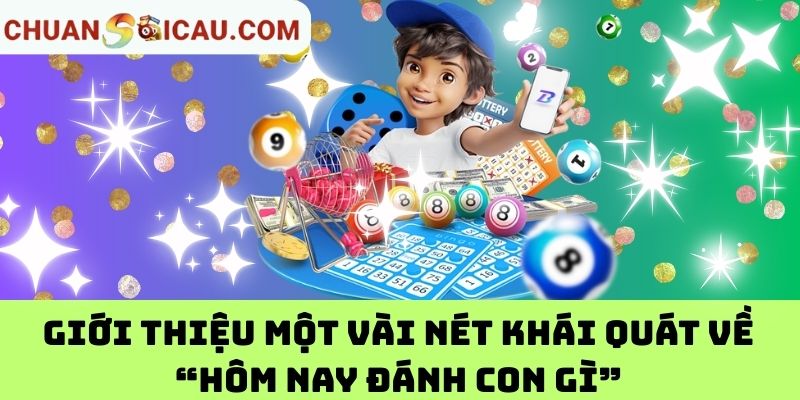 Giới thiệu một vài nét khái quát về “Hôm nay đánh con gì”